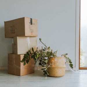 הובלות - מה הם סוגי ההובלות הקיימים?